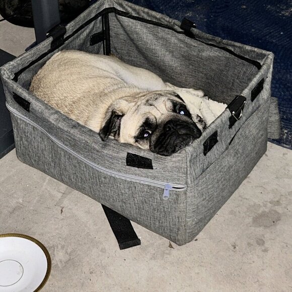 Set - 4 Hand Blown Glass Christmas Tree Candle Ornaments Gold Swirl Clipon Italy - Picture 9 of 9